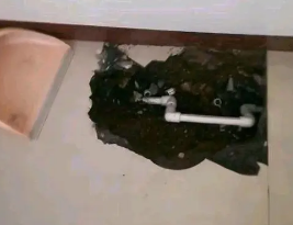 太子河卫生间测漏水多少钱